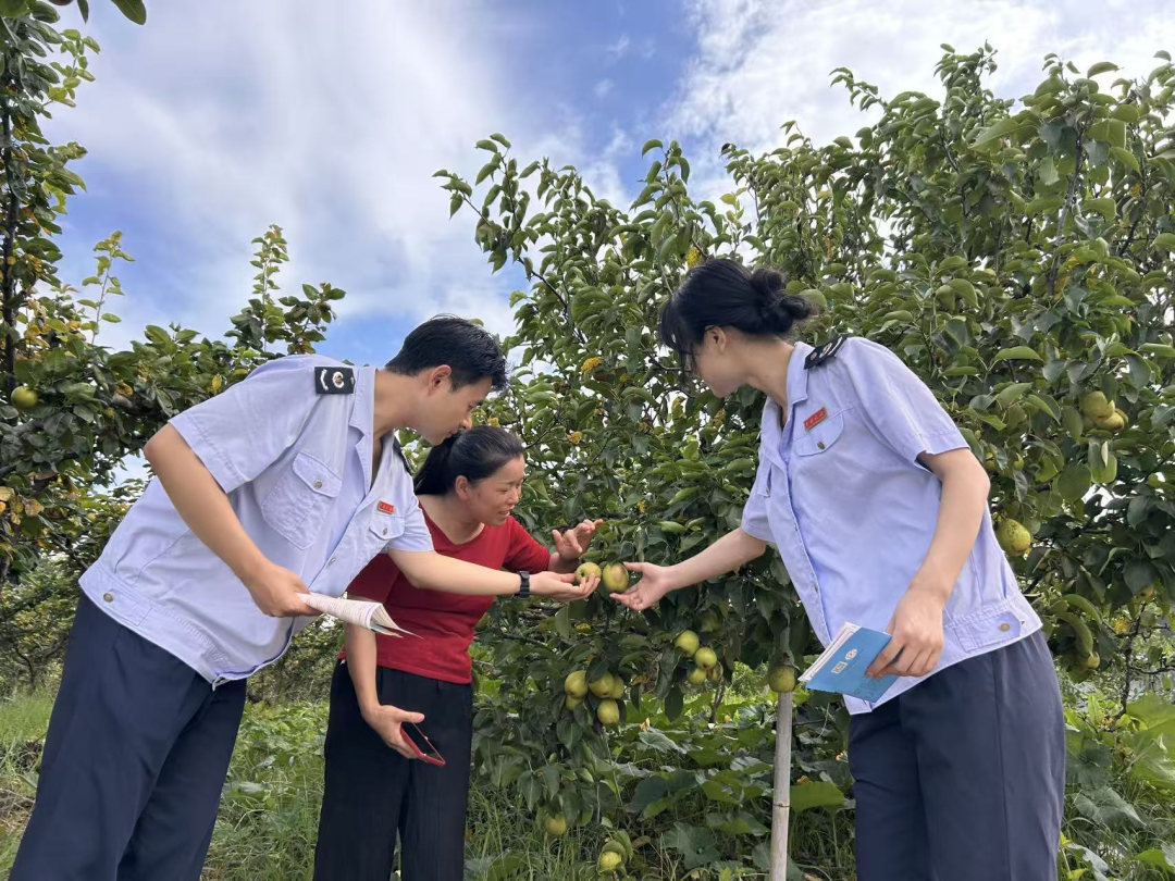 税务合规规范辅导(税务合规的规则体系)通化市 税务合规规范辅导(税务合规的规则体系)通化市