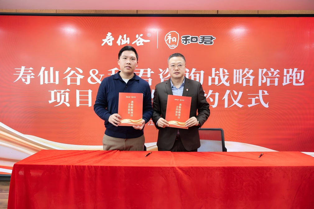 战略执行陪跑服务(战略执行五步方案案例)通化市