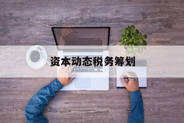 资本动态税务筹划(资本动态税务筹划案例)通化市