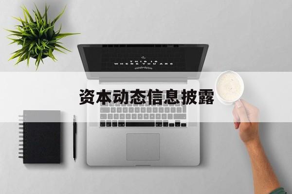 资本动态信息披露(资本动态信息披露是指)通化市